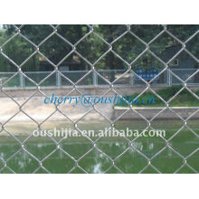 Chain Link Fence (usine et exportateur)